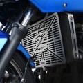 R&G Racing Radiator Guard (Stainless) for the Kawasaki Z750 '07-'16 / Z750R '10-'16 / Z800 '10-'19 ETC R&G Racing Radiator Guard (Stainless) for the Kawasaki Z750 '07-'16 / Z750R '10-'16 / Z800 '10-'19 ETC